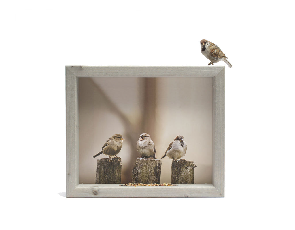 Feedy Medium (41 x 34 cm)