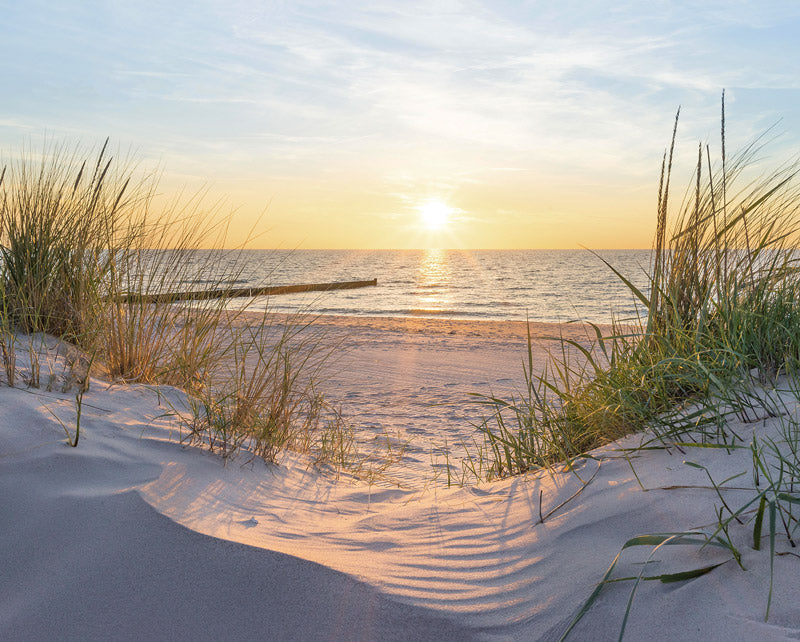 Strand, zon en duinen