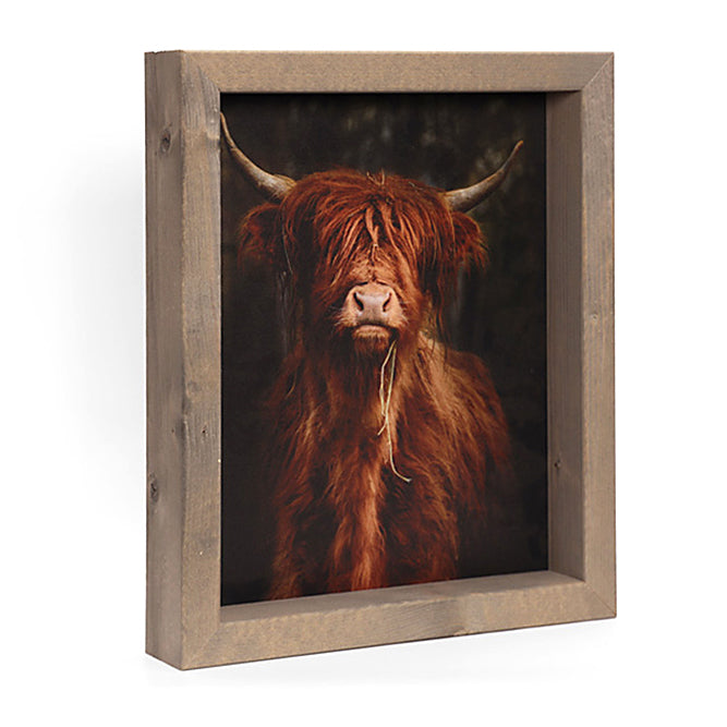 Schotse Hooglander