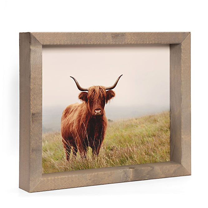 Longhorn in de duinen