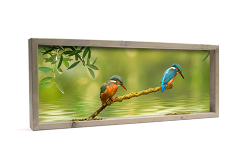 Feedy Panorama (102 x 42 cm)